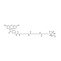 荧光素生物素[5-((N-(5-(N-(6-(联锡酰)氨基)己酰)氨基)戊基)硫代脲基基)萤光素]，134759-22-1，≥90%，阿拉丁