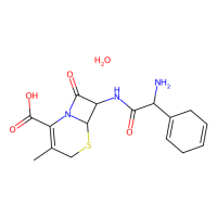 头孢拉定一水合物，75975-70-1，≥98%，阿拉丁