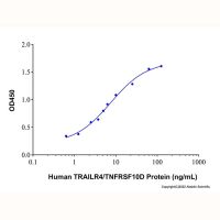 Recombinant Human TRAILR4/TNFRSF10D Protein,阿拉丁