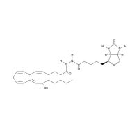 15（S）-HETE-生物素，1217461-45-4，Moligand™, ≥95%, 含微量游离生物素，100μg/ml in ethanol，阿拉丁