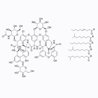 替考拉宁;Moligand™, ≥900ug/mg;61036-62-2;阿拉丁