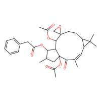 大戟萜，28649-59-4，10mM in DMSO，阿拉丁