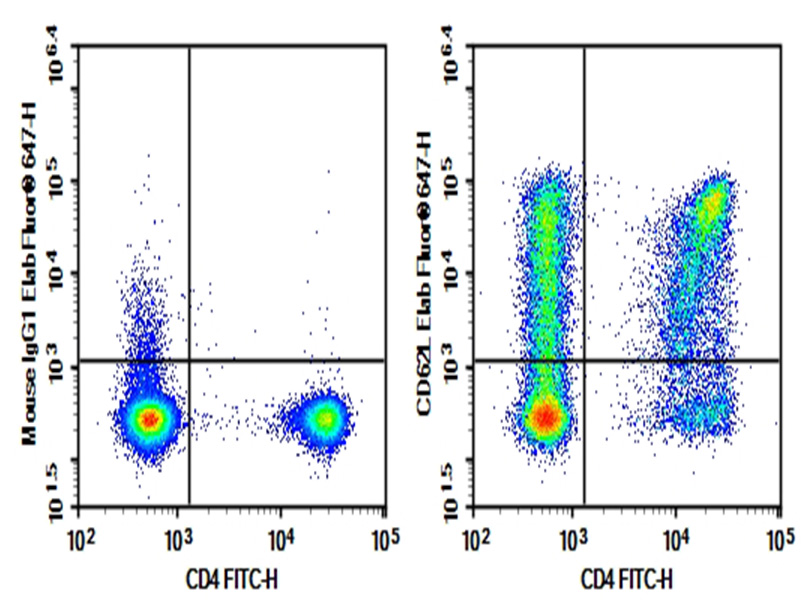 单克隆抗体新标杆！Elabscience 纯化抗人CD62L抗体，为流式实验提供稳定数据支撑