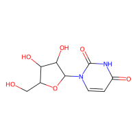 Uridine,58-96-8,10mM in DMSO,阿拉丁