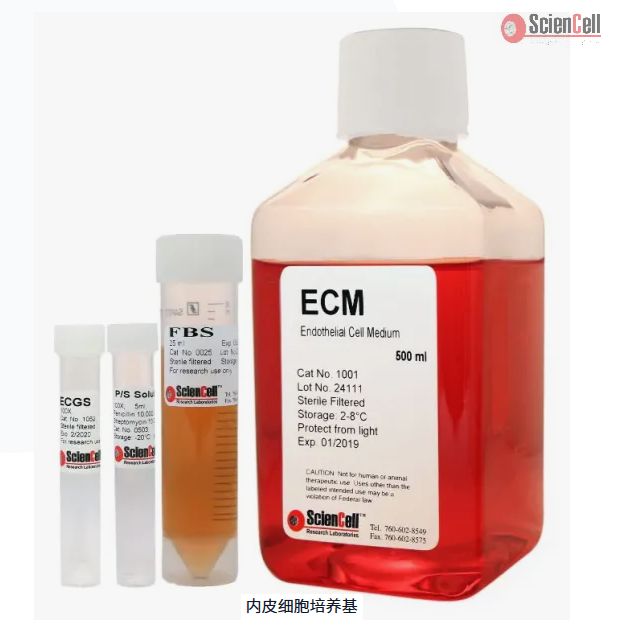 内皮细胞培养基  