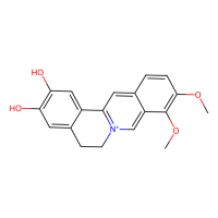去亚甲基小檗碱，25459-91-0，2mM in DMSO，阿拉丁