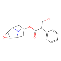 东莨菪碱,51-34-3,10mM in DMSO,阿拉丁