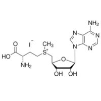 S-腺苷-L-蛋氨酸碘盐，3493-13-8，≥80%(HPLC)，阿拉丁