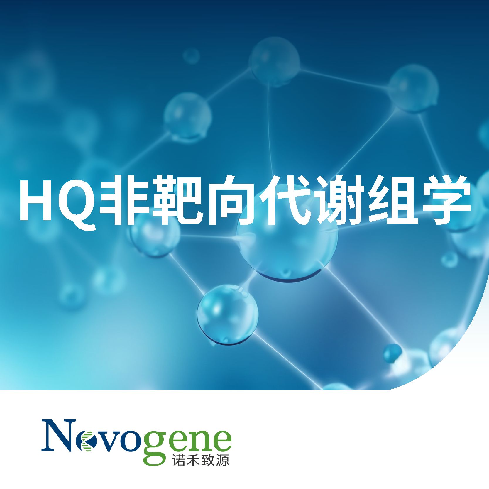 HQ非靶向代谢组学