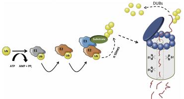 产品细节图片15
