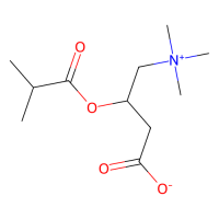 异丁酰-L-肉碱，25518-49-4，≥96%，阿拉丁
