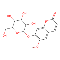 东莨菪苷，531-44-2，≥98%，阿拉丁