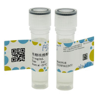 RNase A，10mg／ml，阿拉丁