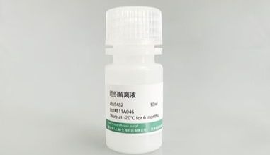 组织解离液：开启细胞研究的“钥匙”