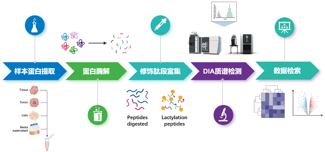 产品细节图片31