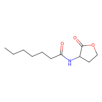 N-庚酰基-DL-高丝氨酸内酯,106983-26-0,≥97%,阿拉丁