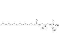 1-肉豆蔻基-2-羟基-sn-甘油-3-磷酸酯(钠盐),325465-45-0,≥99%,阿拉丁
