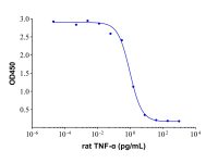 Recombinant Rat TNF-alpha Protein，阿拉丁