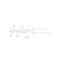 Pam2CSK4,TLR2 / 6激动剂,868247-72-7,Moligand™,阿拉丁
