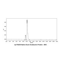 Native Duck Ovalbumin Protein，Carrier Free, Azide Free, ≥95%(SDS-PAGE&HPLC)，阿拉丁