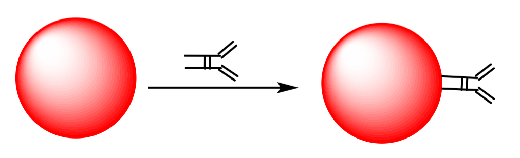 胶体金标记技术服务