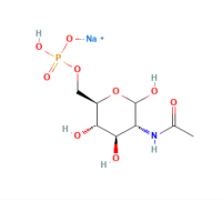 N-乙酰基-D-氨基葡萄糖-6-磷酸二钠盐，102029-88-9，≥98%，阿拉丁