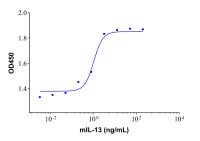 Recombinant Mouse IL-13 Protein，阿拉丁