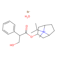 异丙托溴铵一水合物，66985-17-9，10mM in DMSO，阿拉丁