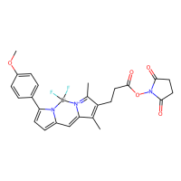 BDP TMR 琥珀酰亚胺酯,485397-12-4,≥95%,阿拉丁