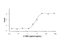 Recombinant Human 4-1BB Ligand Protein，ActiBioPure™, Bioactive, Animal Free, Carrier Free, Azide Free, ≥95%(SDS-PAGE)，阿拉丁