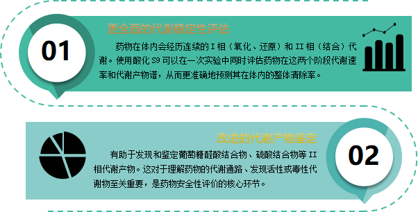 酸化上 1.png 酸化上 1.png