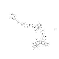 2-MSP-5-HA-GGFG-NH-CH2-O-CH2-CO-Exatecan；2964536-59-0；阿拉丁