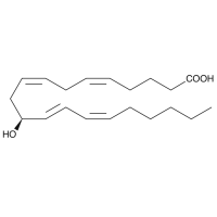 11(S)-HETE，54886-50-9，≥98%, 100 μg/ml in ethanol，阿拉丁