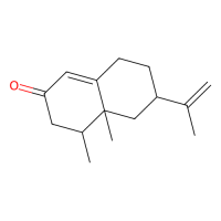 (+)-诺卡酮；10mM in DMSO；4674-50-4；阿拉丁