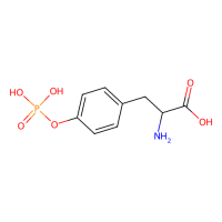 O-磷酸基-L-酪氨酸，21820-51-9，≥95%(HPLC)，阿拉丁