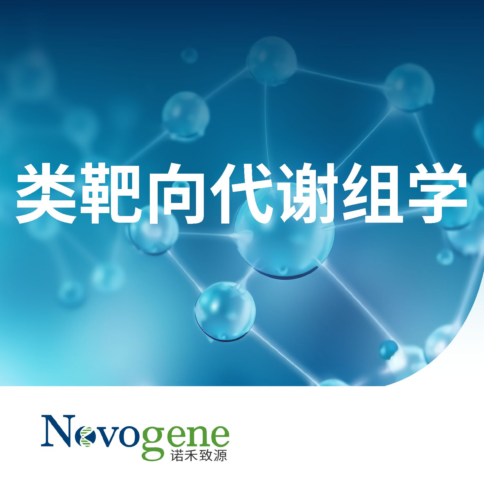 非靶向代谢组学