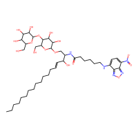 N-[6-[(7-硝基-2-1,3-苯并恶二唑-4-基)氨基]己酰基] -D-乳糖基-β1-1'-鞘氨醇，474943-04-9，≥99%，阿拉丁