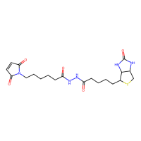 生物素-马来酰亚胺，116919-18-7，≥95%，阿拉丁