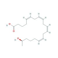 19(R)-HETE,115461-39-7,≥98%, solution in ethanol,阿拉丁
