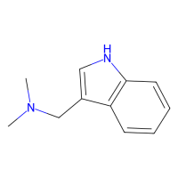 芦竹碱,87-52-5,10mM in DMSO,阿拉丁