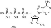 2'-OMe-ATP(水溶液),≥95%,阿拉丁