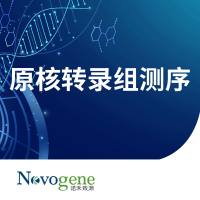 原核转录组测序