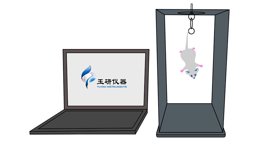 实验干货｜悬尾实验（TST）：快速评估抗抑郁药效的“行为学标准”