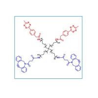 4arm PEG，2arm-DBCO，2arm-Tetrazine  四臂聚乙二醇，二臂-二苯基环辛炔 ，二臂-四嗪  