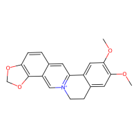 Epiberberine，6873-09-2，10mM in DMSO，阿拉丁
