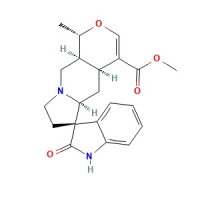 异翅果定碱，5171-37-9，≥98%，阿拉丁