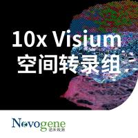 10x Visium 空间转录组