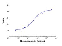 Recombinant Human Thrombopoietin Protein，ActiBioPure™, Bioactive, Animal Free, Carrier Free, Azide Free, High performance, ≥95%(SDS-PAGE)，阿拉丁