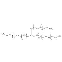 八臂 PEG 胺，MW 20000 Da，阿拉丁