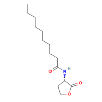 N-癸酰基-L-高丝氨酸内酯，177315-87-6，≥96%，阿拉丁